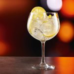 Gin Tonic Gläser
