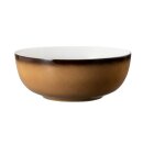Schale Porzellan stabiler Gastronomie Qualität in einer Coup Form von innen weiß und von aussen in der Farbe braun mit einem dunklem Rand am Schalenrand
