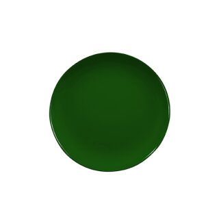 Baristar, Dekor 79174 dunkelgrün, Teller flach coup 21 cm