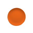 Baristar, Dekor 79922 orange, Teller flach coup 21 cm