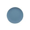 Baristar, Dekor 79925 grau-blau, Teller flach coup 21 cm